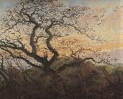 Caspar David Friedrich Tree with crows china oil painting artist